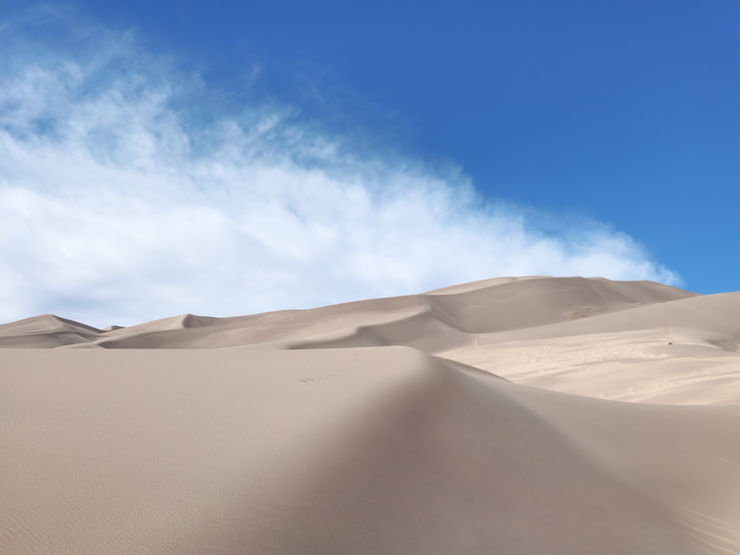 Finding My Way Back: A Letter to the CSNP Community